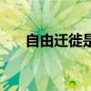 自由迁徙是能力还是权力（自由迁徙）