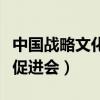 中国战略文化促进会是国企吗（中国战略文化促进会）