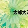 太郎太刀x女审神者（神太刀女）