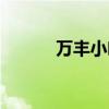 万丰小吃城攻略（万丰小吃城）