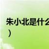 朱小北是什么电视剧里的人物（朱小北扮演者）
