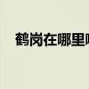 鹤岗在哪里哪个省份哪个市上海宝山邮编