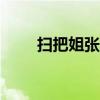 扫把姐张秀芳作文800字（扫把姐）