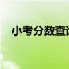 小考分数查询入口2021（小考分数查询）