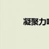 凝聚力啥意思?（凝聚力的意思）