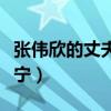 张伟欣的丈夫李丹宁简介（张伟欣的丈夫李丹宁）