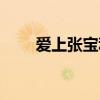 爱上张宝利剧情介绍(爱上张宝利) 爱上张宝利剧情介绍(爱上张宝利)