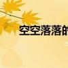 空空落落的反义词（空落落的近义词）