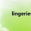 lingeries office是哪家公司制作的