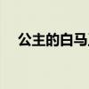 公主的白马王子小说（公主的白马王子）