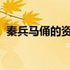秦兵马俑的资料1000字（秦兵马俑的资料）