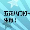 五花八门打一生肖是什么（五花八门打一动物生肖）