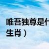 唯吾独尊是什么生肖的意思（唯吾独尊是什么生肖）