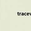 traceview.bat（traceview）