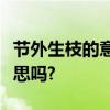 节外生枝的意思是一波未平一波又起是这个意思吗?