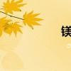 镁客网cto（镁客网）