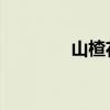 山楂花功效（山楂花 歌词）