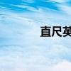 直尺英语怎么读ruler（直尺）