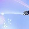 池城 韩国（池城女友）