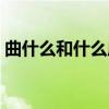 曲什么和什么成语大全（曲什么和什么成语）