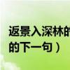 返景入深林的下一句是什么意思（返景入深林的下一句）