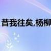 昔我往矣,杨柳依依,今我来思,雨雪霏霏的意思