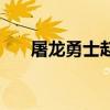 屠龙勇士赵信多少钱（屠龙勇士赵信）