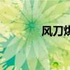 风刀烘干机（风刀干燥系统）