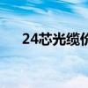 24芯光缆价格多少钱一米(24芯光缆) 24芯光缆价格多少钱一米(24芯光缆)