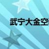 武宁大金空调清洗保养（空调清洗保养）