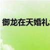 御龙在天婚礼怎么喝酒（御龙在天怎么结婚）