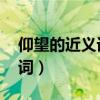 仰望的近义词是什么 标准答案（仰望的近义词）