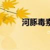 河豚毒素阻断什么通道（河豚毒）