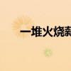 一堆火烧薪猜成语（疯狂猜成语薪火）