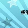 榴组词两个字（榴组词）