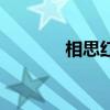 相思红豆生南国（相思红豆）