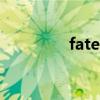 fater是什么意思（fater）