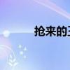 抢来的王妃 小说（抢来的王妃）