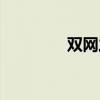 双网之音续写（双网之音）