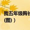 我五年级胸长这样正常吗（五年级我的胸小吗(图)）