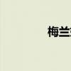 梅兰妮娅图片（梅兰妮亚）