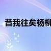 昔我往矣杨柳依依今我来思雨雪霏霏的意思