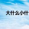 大什么小什么成语（大什么大什么成语）
