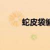 蛇皮袋编织袋机器（编织袋机器）