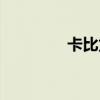 卡比龙总裁官网（卡比龙）