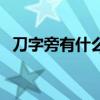 刀字旁有什么字二年级（刀字旁有什么字）