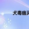 犬毒瘟灵能治猫瘟吗（犬毒瘟灵）