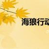 海狼行动完整版电影（海狼之戒）