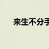 来生不分手mv高清（来生不分手mv）