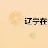 辽宁在线卫视(辽宁卫视网站) 辽宁在线卫视(辽宁卫视网站)